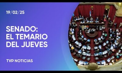 Senado: habrá sesión y se definió el temario