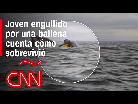 “Sentí una textura babosa, pensé que iba a morir”, dice joven tragado por una ballena en Chile