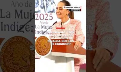 Shainbaum: “Son más ricos los camarones de Sinaloa que los de Ecuador”