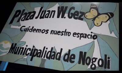 Silvia Rua, ‘Almendra decoraciones’