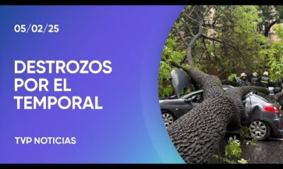 Temporal en CABA: los destrozos tras la caída de árboles