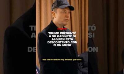 Trump pregunto a si Gabinete si alguien está descontento con Elon Musk