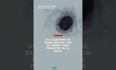 Un cachorro se reencuentra con su dueño tras perderse en la nieve