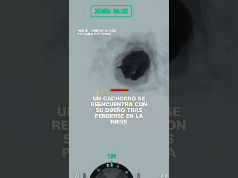 Un cachorro se reencuentra con su dueño tras perderse en la nieve