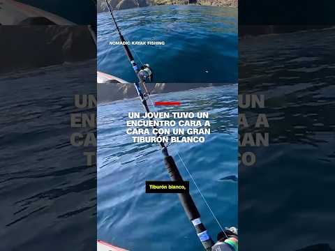 Un joven tuvo un encuentro cara a cara con un gran tiburón blanco