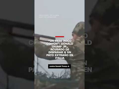 “Un pato poco común”: Donald Trump Jr., acusado de disparar a un pato extraño en Italia “Un pato poco común”: Donald Trump Jr., acusado de disparar a un pato extraño en Italia
