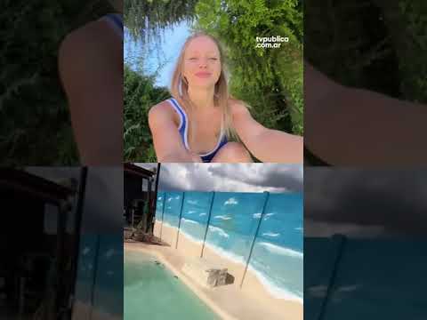 ¿Versión celebridad o low cost? ¿Versión celebridad o low cost?