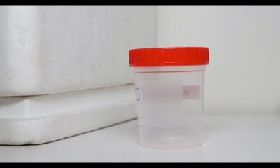 Ivana Magallanes, Secretaria administrativa del Superior tribunal de Justicia