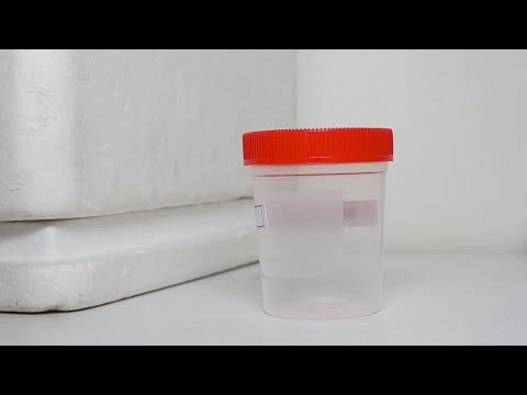 Ivana Magallanes, Secretaria administrativa del Superior tribunal de Justicia