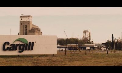 Informe Inserción Laboral