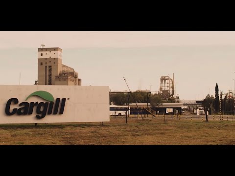 Informe Inserción Laboral