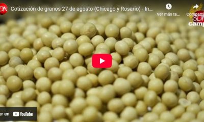 Cotización de Granos y Chicago – Informa Luis Ciucci desde la Bolsa de Comercio de Chicago