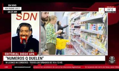 Números q duelen | Editorial de Diego Apa para #NiLeonesNiCorderos🦁🐮