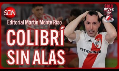 Un colibrí sin alas | El editorial de Martín Monte Riso para #SoloRiver🐔