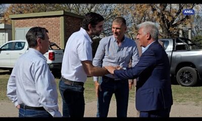 Nicolás Strauss, Gerente general de Plastar