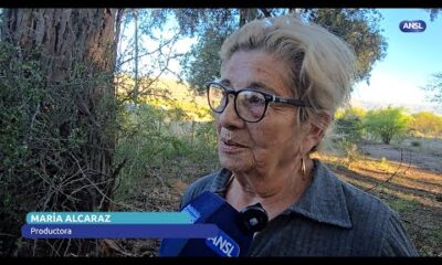 María Alcaraz, Productora