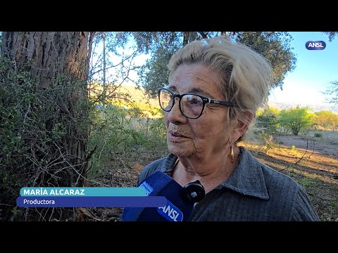 María Alcaraz, Productora