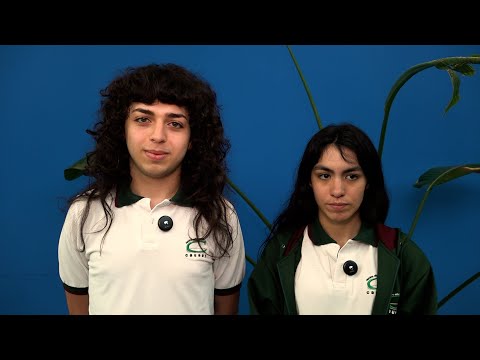Testimonios de estudiantes del Instituto “Causay”