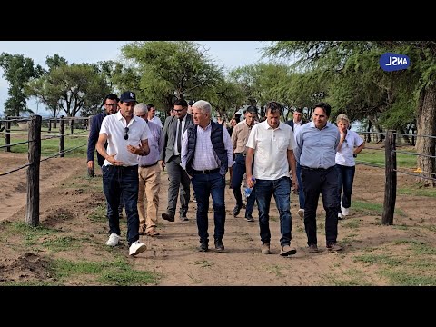 Adolfo Cambiaso, Socio fundador La Dolfina