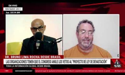 Las organizaciones temen que el Congreso anule los vetos al “Proyecto de Ley de Devastación”