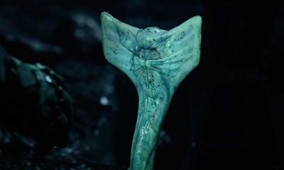 Hoy en TV, la película que resucitó una de las mejores sagas de ciencia ficción de la historia 15 años después y recaudó casi 400 millones