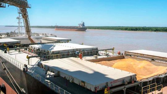 La actividad de las cadenas agropecuarias marcó un récord en noviembre La actividad de las cadenas agropecuarias marcó un récord en noviembre