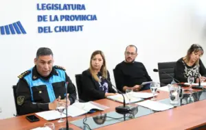 Dictamen favorable para prorrogar el Comando Unificado en Chubut