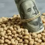 Agricultura extiende vigencia y busca asegurar USD 7000 millones en exportaciones