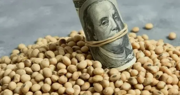 Agricultura extiende vigencia y busca asegurar USD 7000 millones en exportaciones