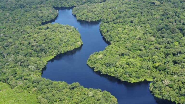 Brasil activa un fondo millonario para impulsar proyectos ecológicos en la Amazonía