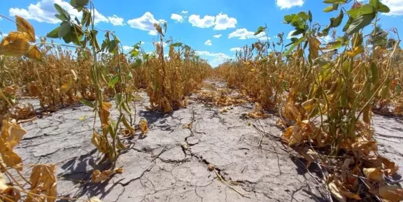 El Gobierno Nacional declaró la emergencia agropecuaria en Chubut