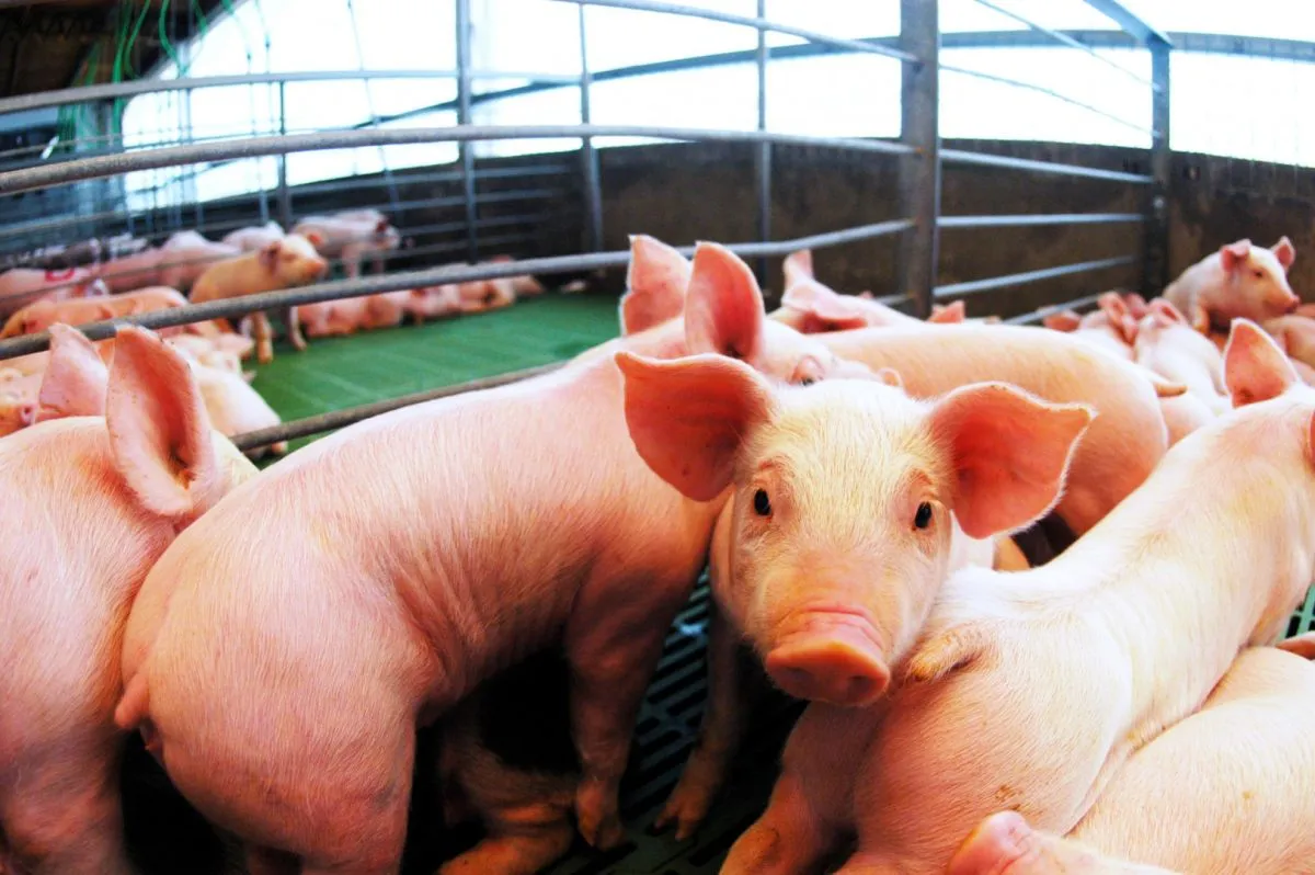 El Gobierno oficializa la quita de retenciones a productos agroindustriales
