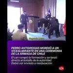 Inesperado ataque: perro antidrogas mordió a un vicealmirante en una ceremonia de la Armada de Chile
