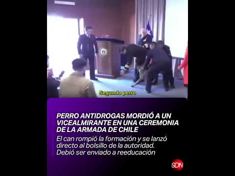 Inesperado ataque: perro antidrogas mordió a un vicealmirante en una ceremonia de la Armada de Chile