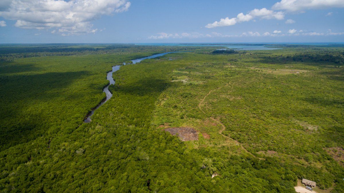 La Amazonía, bajo amenaza: narcotráfico y minería ilegal expanden el poder criminal