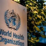 La OMS advirtió que podrían aparecer nuevos casos de hantavirus, pero afirmó que el riesgo global es bajo
