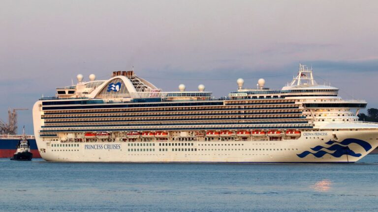 Otra emergencia sanitaria en un crucero: brote de norovirus deja más de 100 pasajeros afectados