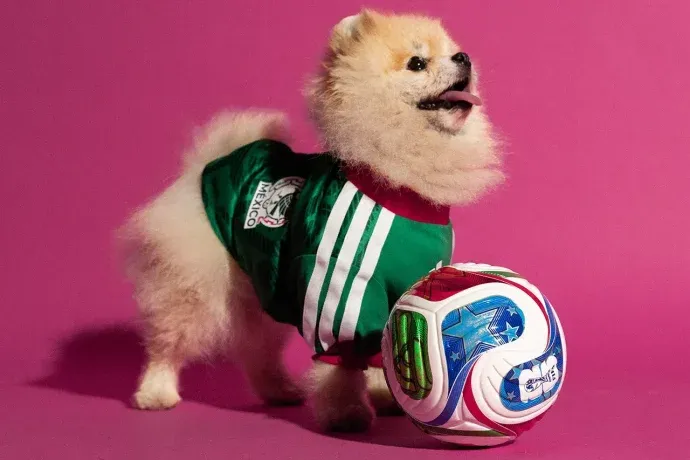 Tu mascota lista para el Mundial 2026: cómo es la colección de camisetas para perros
