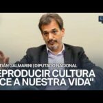 "EL PRESUPUESTO DE LA INDUSTRIA AUDIOVISUAL ES CERO" | SEBASTIÁN GALMARINI, DIPUTADO NACIONAL #ESDP