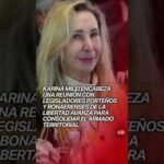¡Armado libertario! Karina Milei junta a la tropa legislativa de Ciudad y Provincia