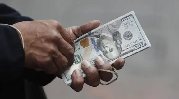 El BCRA compró USD532 millones en un solo día, su mayor marca desde 2002, y el dólar bajó