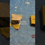 ¡Golpe al narco en Villa Mercedes! Incautaron drogas por más de $20 millones