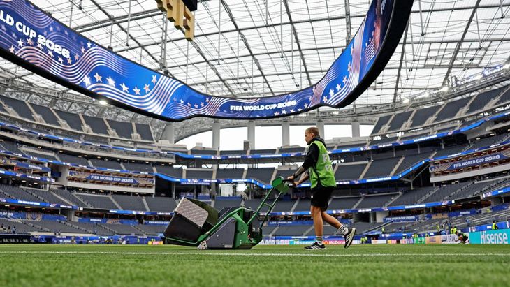 ¡Insólito!: venden pasto de un partido que no se jugó y pagan fortunas por la camiseta más polémica del Mundial
