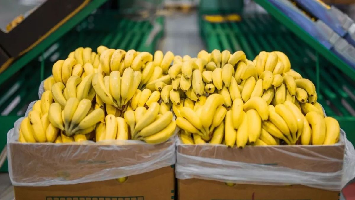 Jujuy y Salta acordaron mantener los controles sanitarios a las importaciones de bananas por la desregulación «inconsulta» del sector