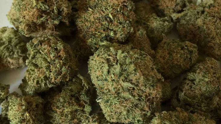 La Justicia de Kenia rechazó el uso religioso de la marihuana a los rastafaris