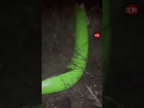 ¡Tragedia en la Ruta 7! Un micro volcó y cayó desde un puente de 6 metros 🚨 Buscan sobrevivientes