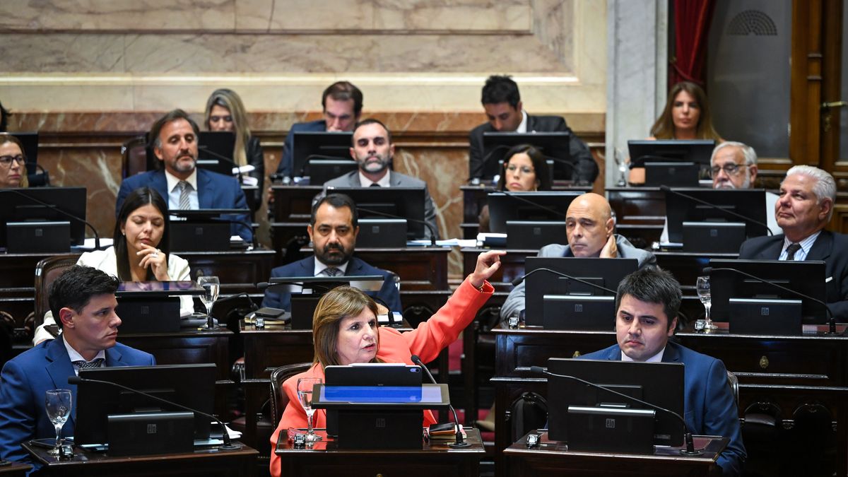 Una senadora aliada anticipó que votará en contra de la modificación a la ley de Tierras y complica al Gobierno